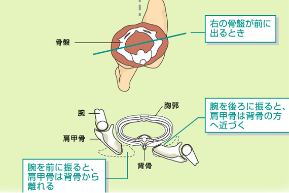 姿勢