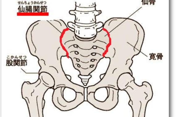 仙腸関節